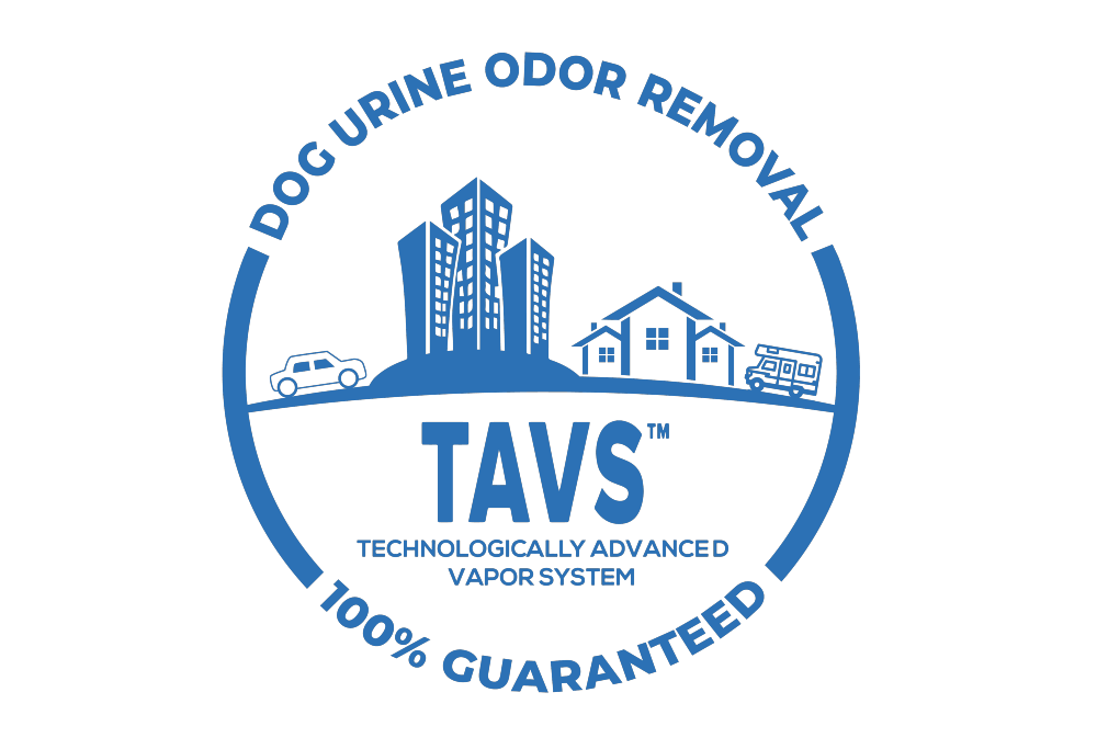 dog-urine-removal-tavs dog urine odor removal
